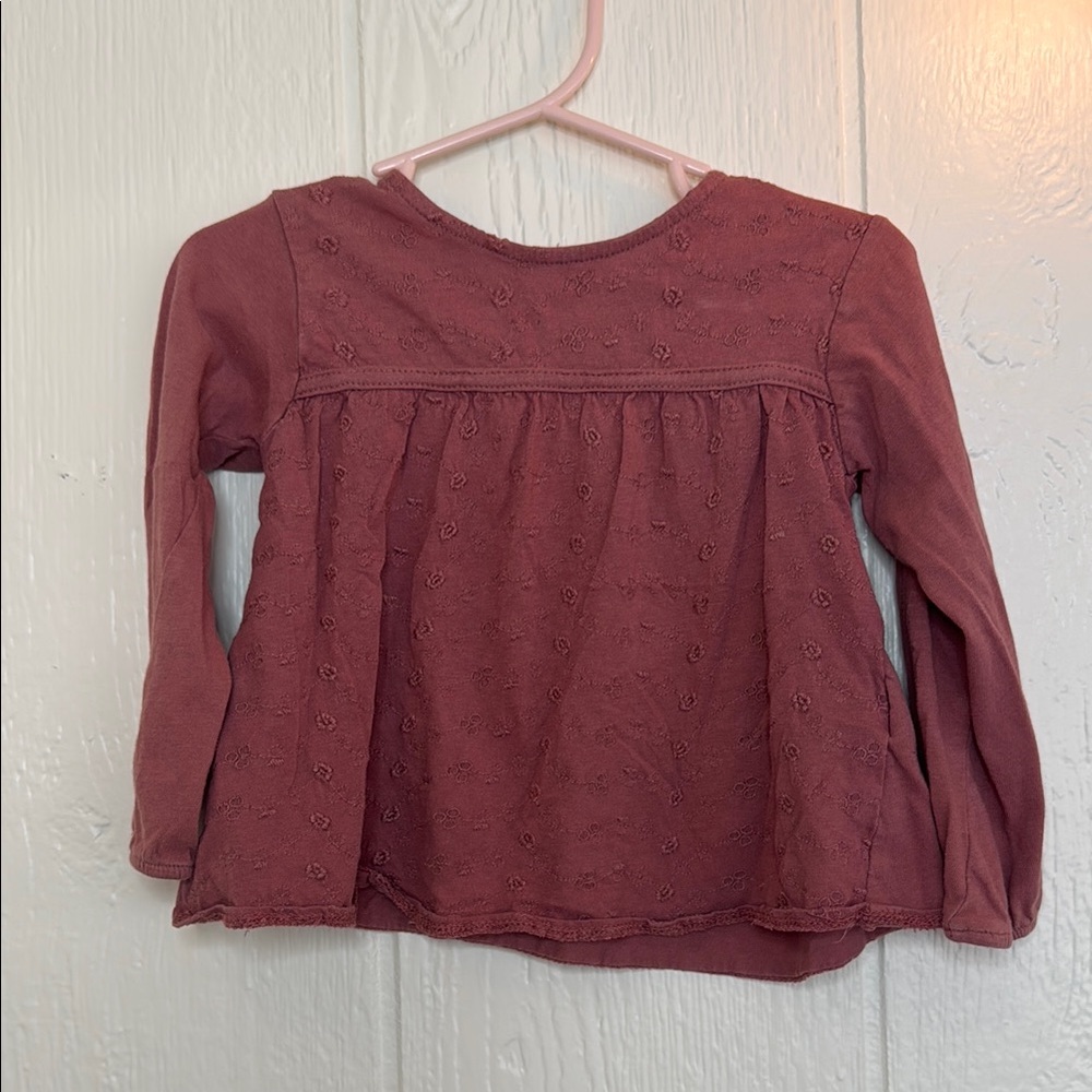 Zara Baby Long Sleeve Embroidered Top - Muave